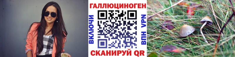 kraken   Красково  Галлюциногенные грибы GOLDEN TEACHER 